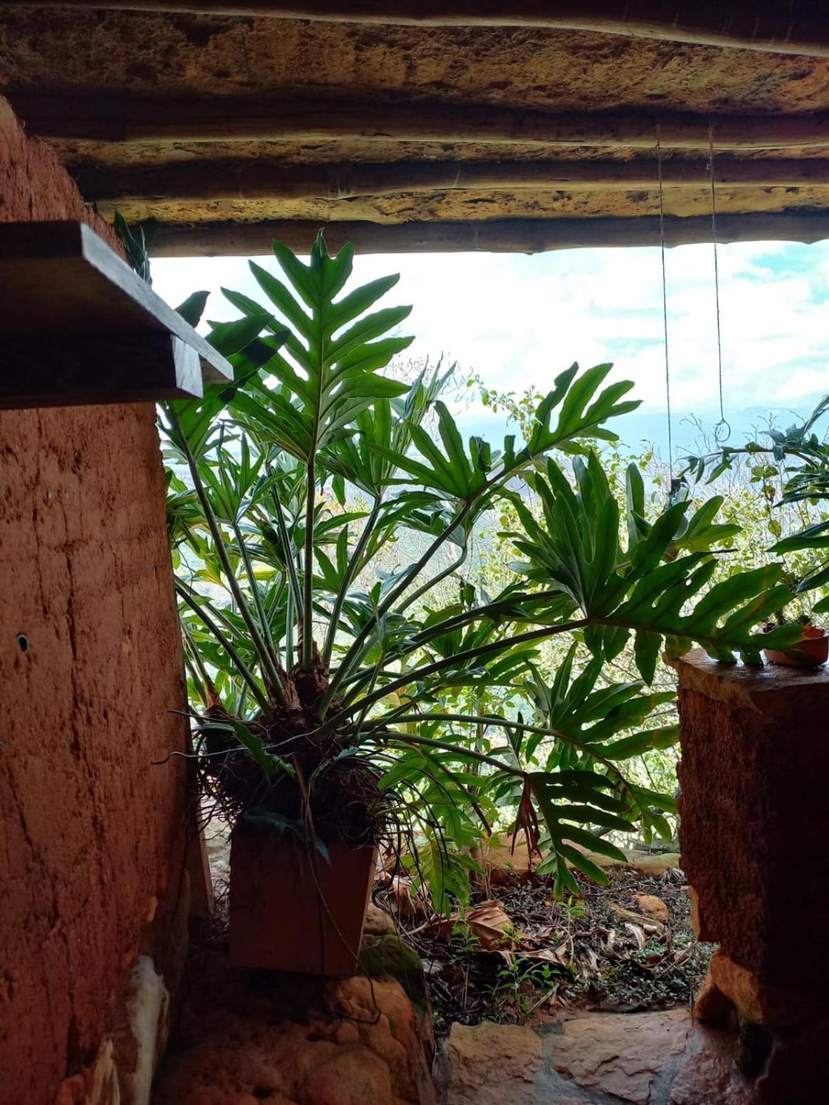 Refugio La Roca Bed & Breakfast Los Santos  Ngoại thất bức ảnh