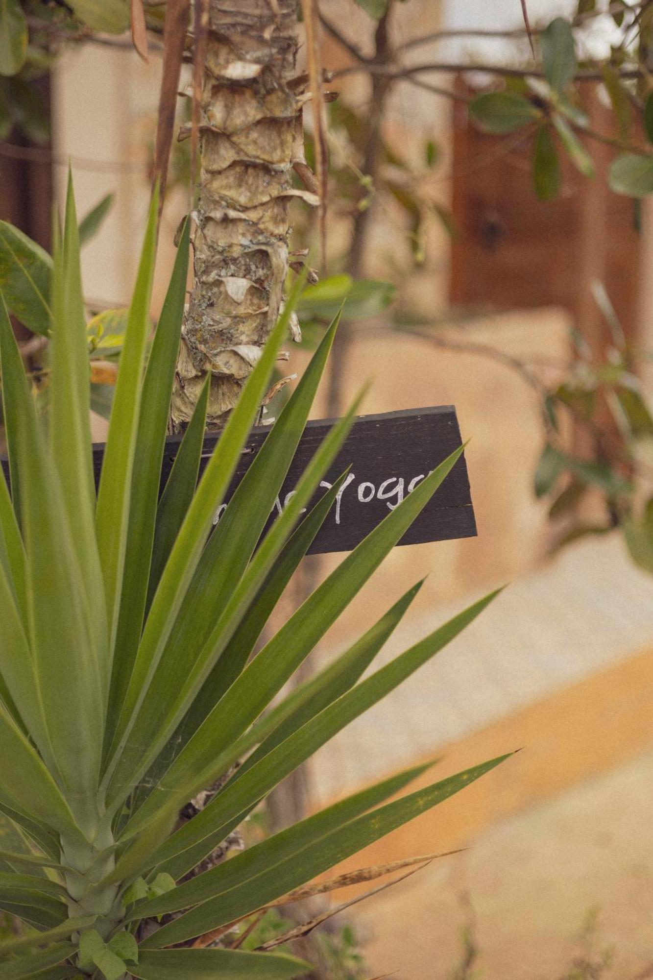 Refugio La Roca Bed & Breakfast Los Santos  Ngoại thất bức ảnh