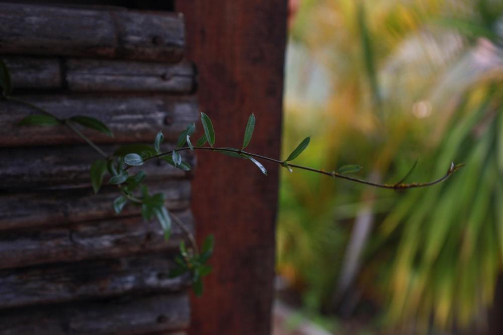 Refugio La Roca Bed & Breakfast Los Santos  Ngoại thất bức ảnh